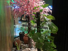 -田婆婆的菜(海口友谊阳光城店)