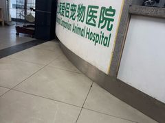 -爱侣宠医·鹦鹉专科·小型哺乳类·异宠专科(灵石路店)