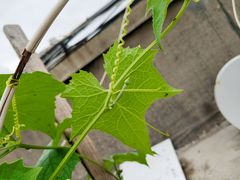 -永旺黄岛购物中心