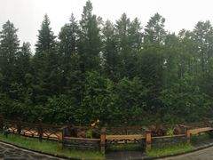 -峡谷浮石林景区