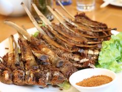 -大顺堂食府(牛街店)