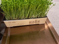 -七欣天香辣蟹火锅(闵行浦江欢乐颂店)