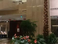 android_upload_pic-常州环球恐龙城维景国际大酒店