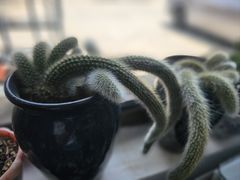 -遇见小院·长思缘农家院(怀柔店)