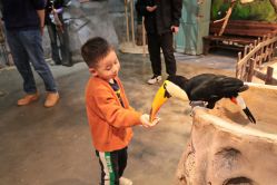 -Zoolung Zoolung动物主题公园(海信广场店)