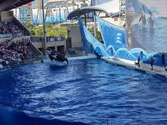 -上海海昌海洋公园