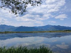 -野鸭湖国家湿地公园