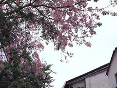 -陈记饮食店(菜园墩店)