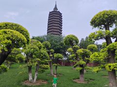 -西海子公园