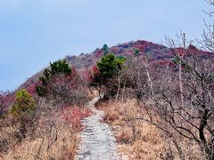 -水峪民俗村
