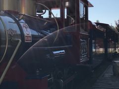 -永定河休闲森林公园