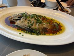 -魚當家