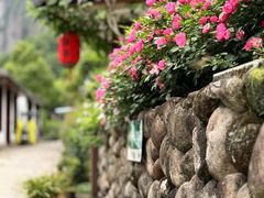 -雁荡山风景名胜区