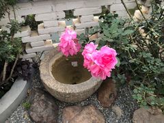 -天然居(伦教店)