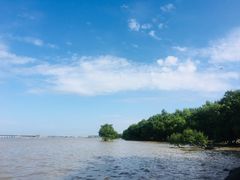 -宝安西湾红树林湿地公园