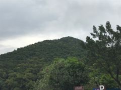 -大雁山风景区