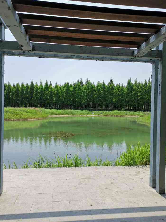 罗泾水源涵养林图片