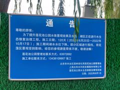 -莲花池公园