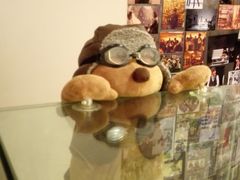 -济州岛泰迪熊博物馆