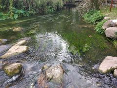 -贵阳市花溪国家城市湿地公园