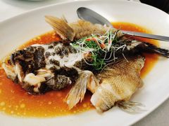 笋壳鱼-逸道(益丰·外滩源店)