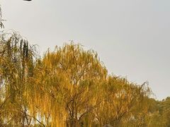 -北坞公园