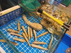 -金龙·打边炉(南京西路店)