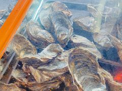 -土蚝·高压锅生蚝(百姓美食街店)
