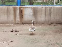 -森林公园(尖草坪区)