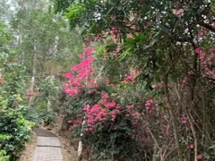 -水濂山森林公园