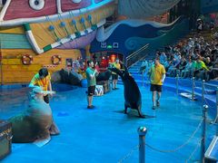 -烟台海昌鲸鲨海洋公园