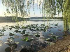 -西湖外事游船(花港观鱼码头)