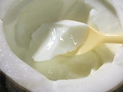 -志龙皇冠吃货椰子铺