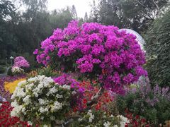 -人民公园(罗湖区)