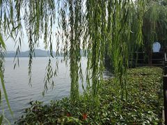 -天目湖山水园