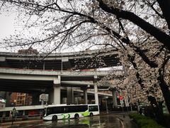 -南浦大桥长途旅游客运站