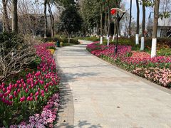 -成飞公园