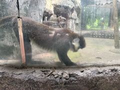 -南昌动物园