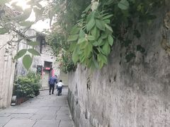 -洪江古商城