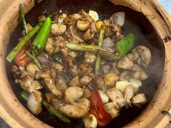 -天宝食坊·啫啫煲大排档(西华路店)