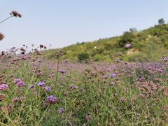 -红石沟生态休闲农场