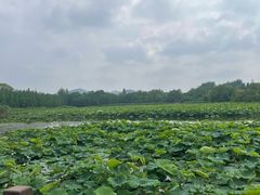 -云龙湖旅游景区