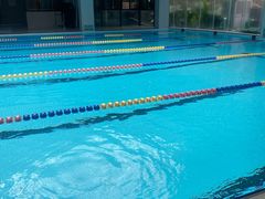 -菲鱼体育恒温游泳馆(中海名城店)