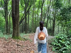-广州神农草堂中医药博物馆