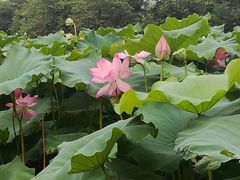 -雀儿山公园