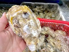 -坛南湾阿强农家乐.海鲜大排档老字号(福州地标美食店)