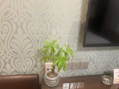 -舜和枣庄大酒店