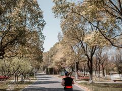 -白塘生态植物园