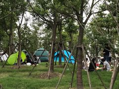 -南汇嘴观海公园