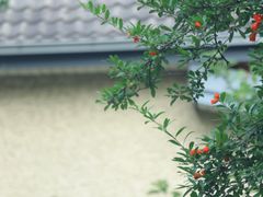 -颐和路民国时期公馆-风貌区